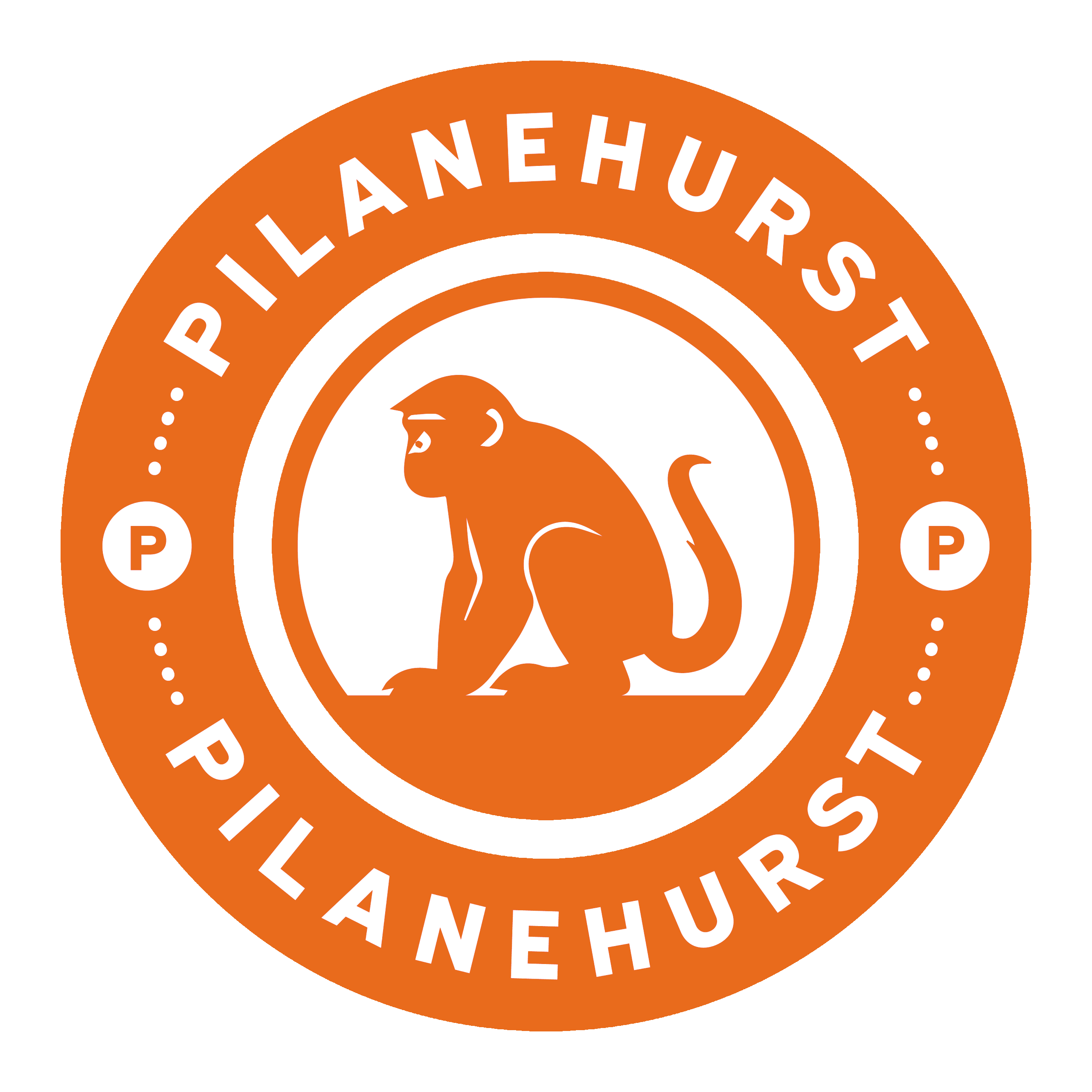 Pilanehurst-Logo-Design-Red-scaled (1)